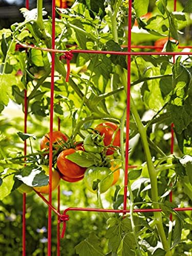 גננים מספקים חברה מרובעת מד כבד כלוב עגבניות קל במיוחד קל קל | קל להרכבה כלובי תמיכה צמחיים